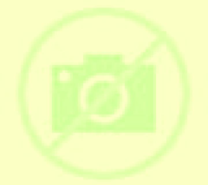 Amaya 2 Mulchen escort