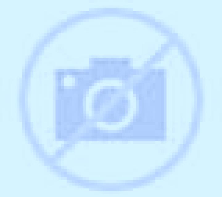 Andrea Los Andes escort