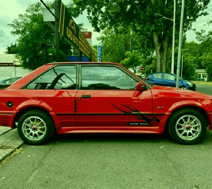 Belén Galvarino escort
