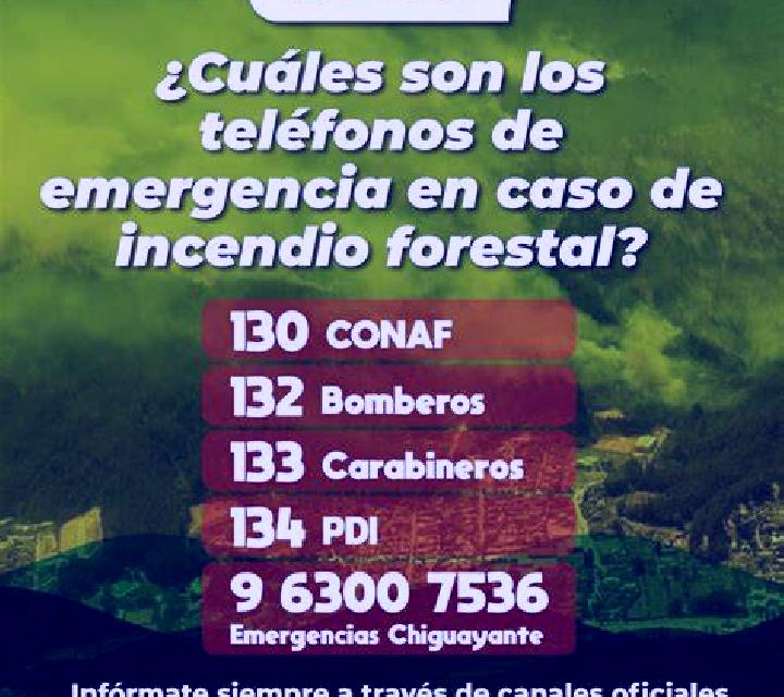Bárbara Chiguayante escort