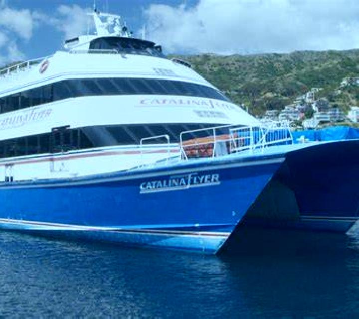 Catalina Porvenir escort