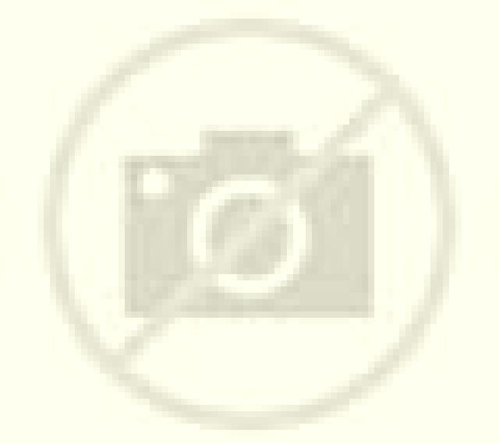 Cinthia Santa Juana escort