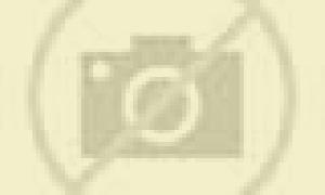 Cony 2 Porvenir escort