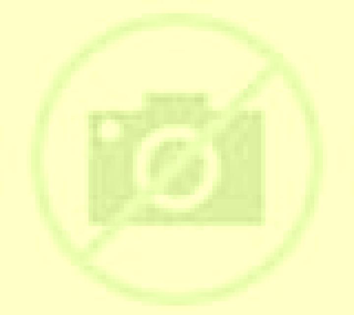 Cony 3 Frutillar escort