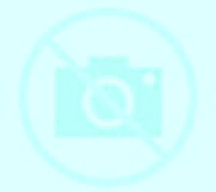Cony 3 Tocopilla escort