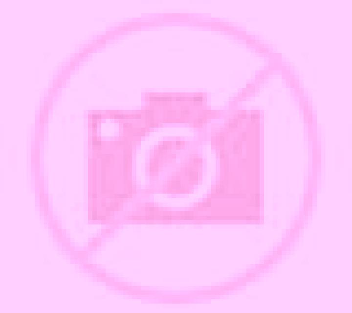 Diana 2 Colbun escort