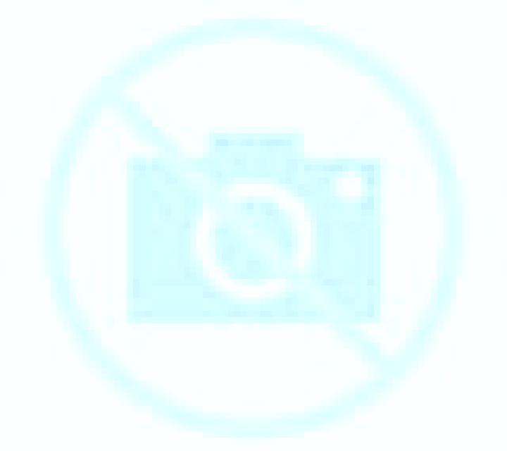 Diana 3 Bulnes escort