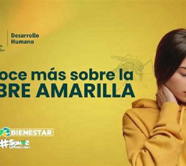 Florencia Tierra Amarilla escort