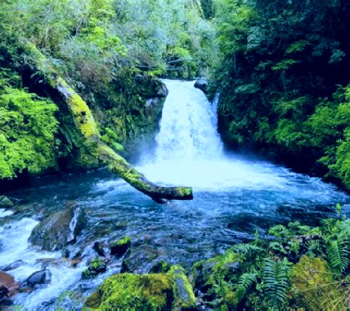 Isabela 2 Puyehue escort