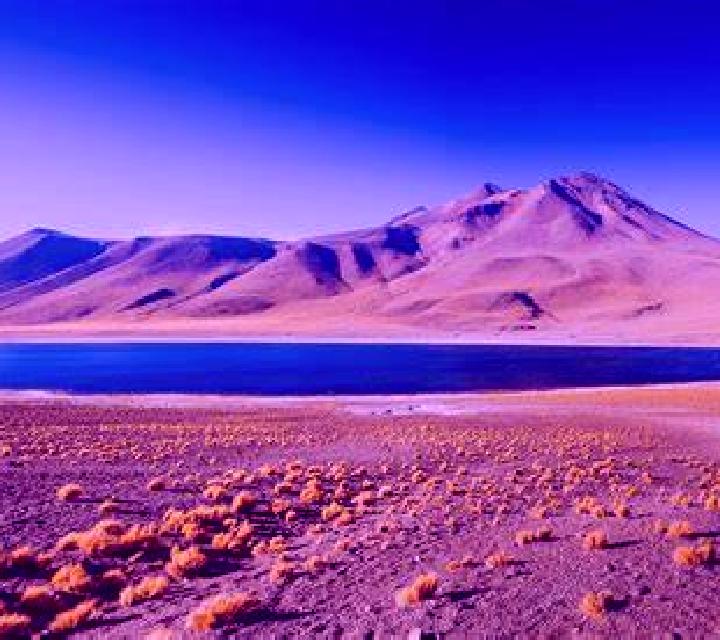 Isidora San Pedro de Atacama escort
