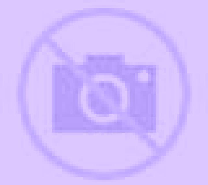 Javiera Pichidegua escort