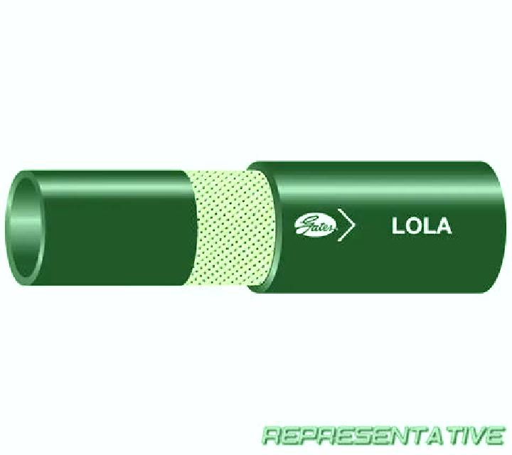 Lola 3 Renca escort