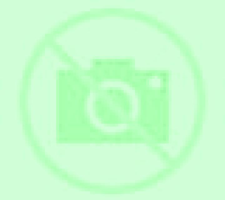 Lola Canela escort