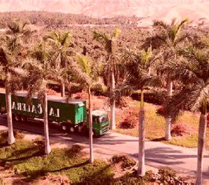 Manuela Hacienda La Calera escort