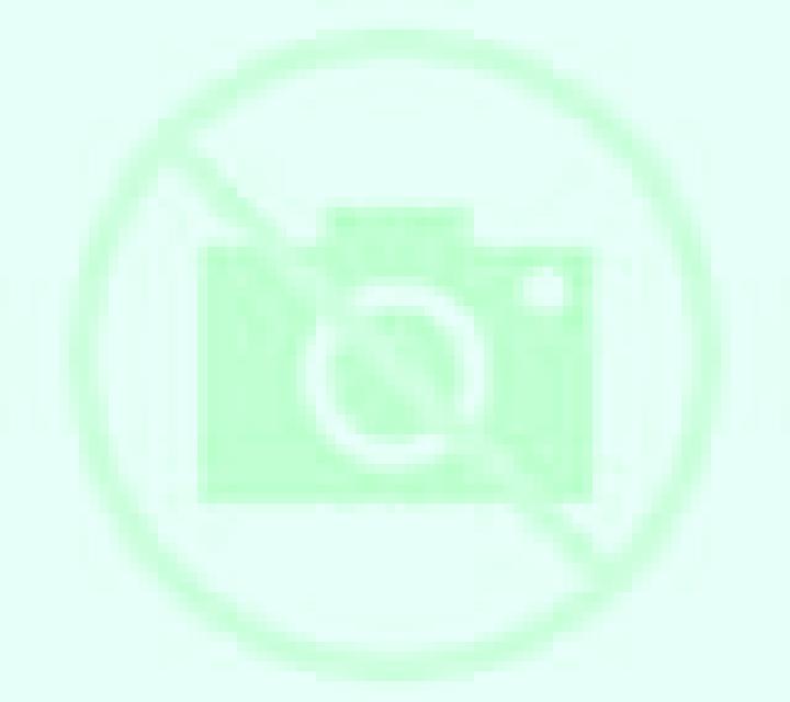Millaray Lota escort