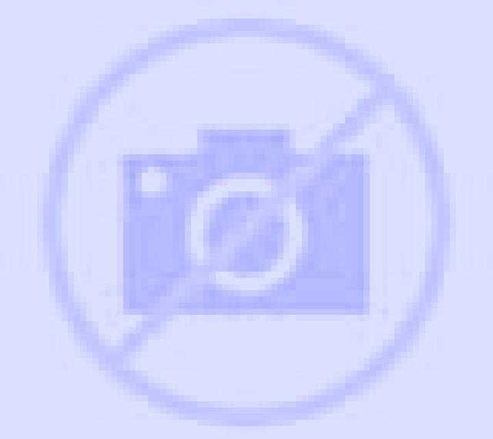 Natalia 3 Requinoa escort