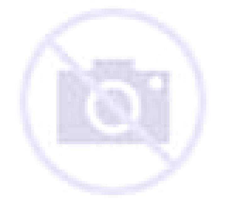 Noelia Freirina escort