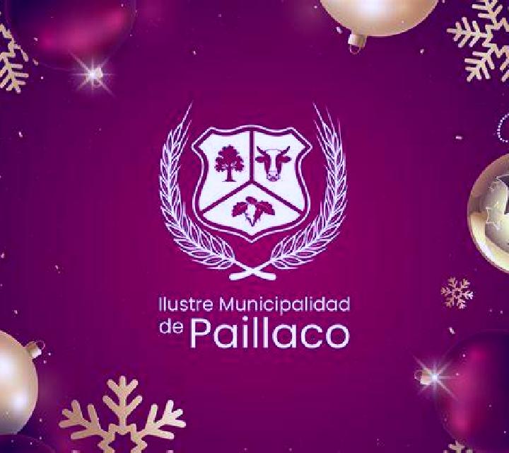 Paulina 2 Paillaco escort