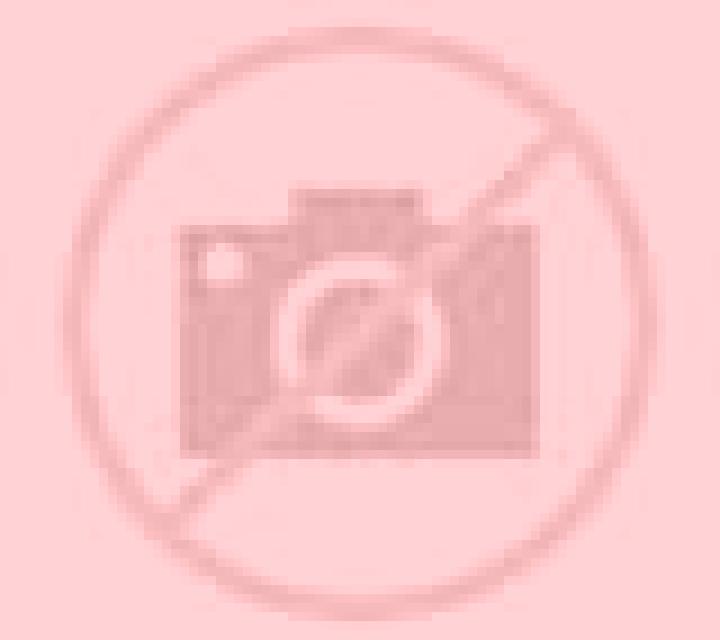 Regina 3 Quilleco escort