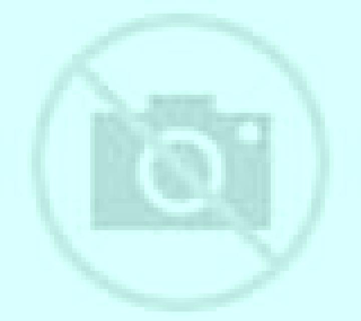 Trinidad Renca escort