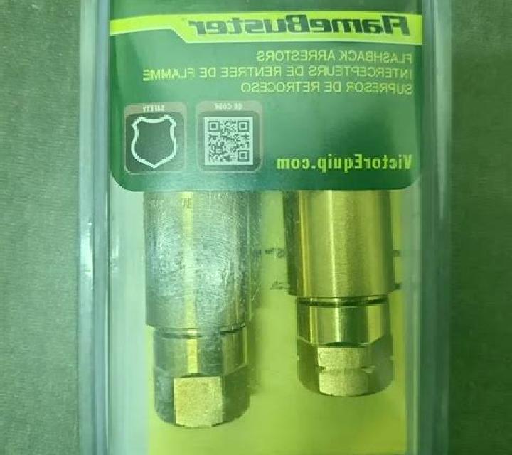 Vega 2 Lebu escort