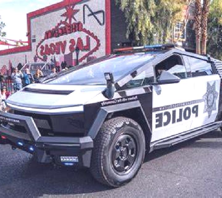 Vega Donihue escort