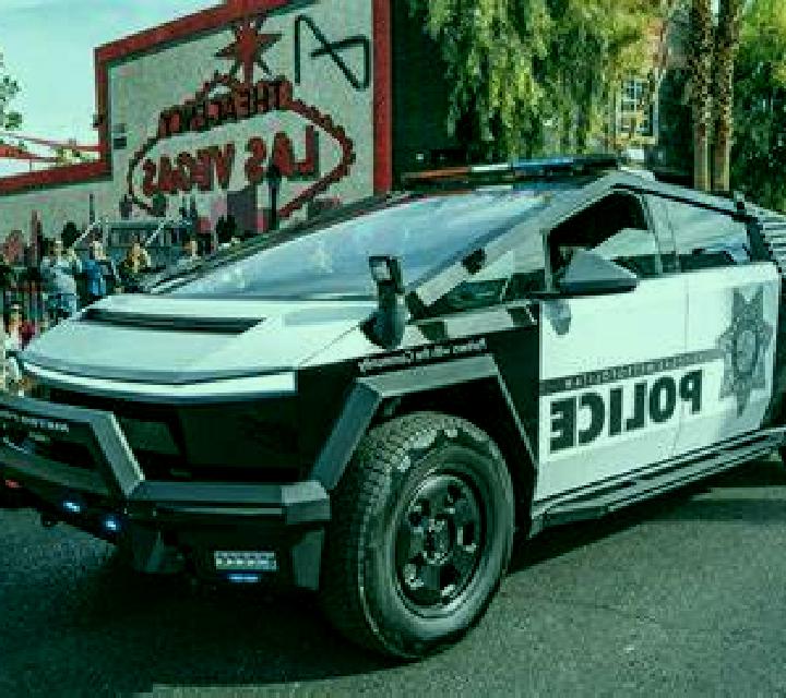 Vega Lota escort