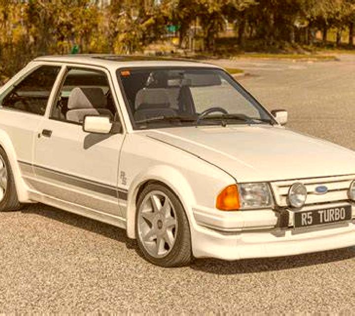 Vega Putaendo escort